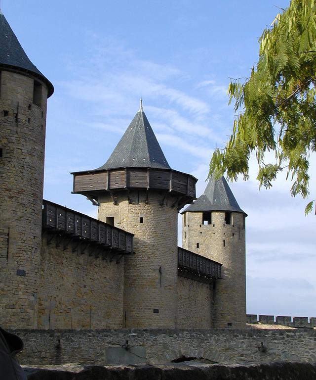 Apartments Les 5 Lys - Quartier La Bastide Carcassonne Exterior foto